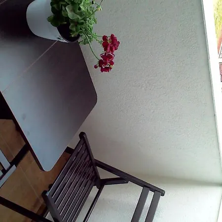 Apartament Roza Mamaia Nord *